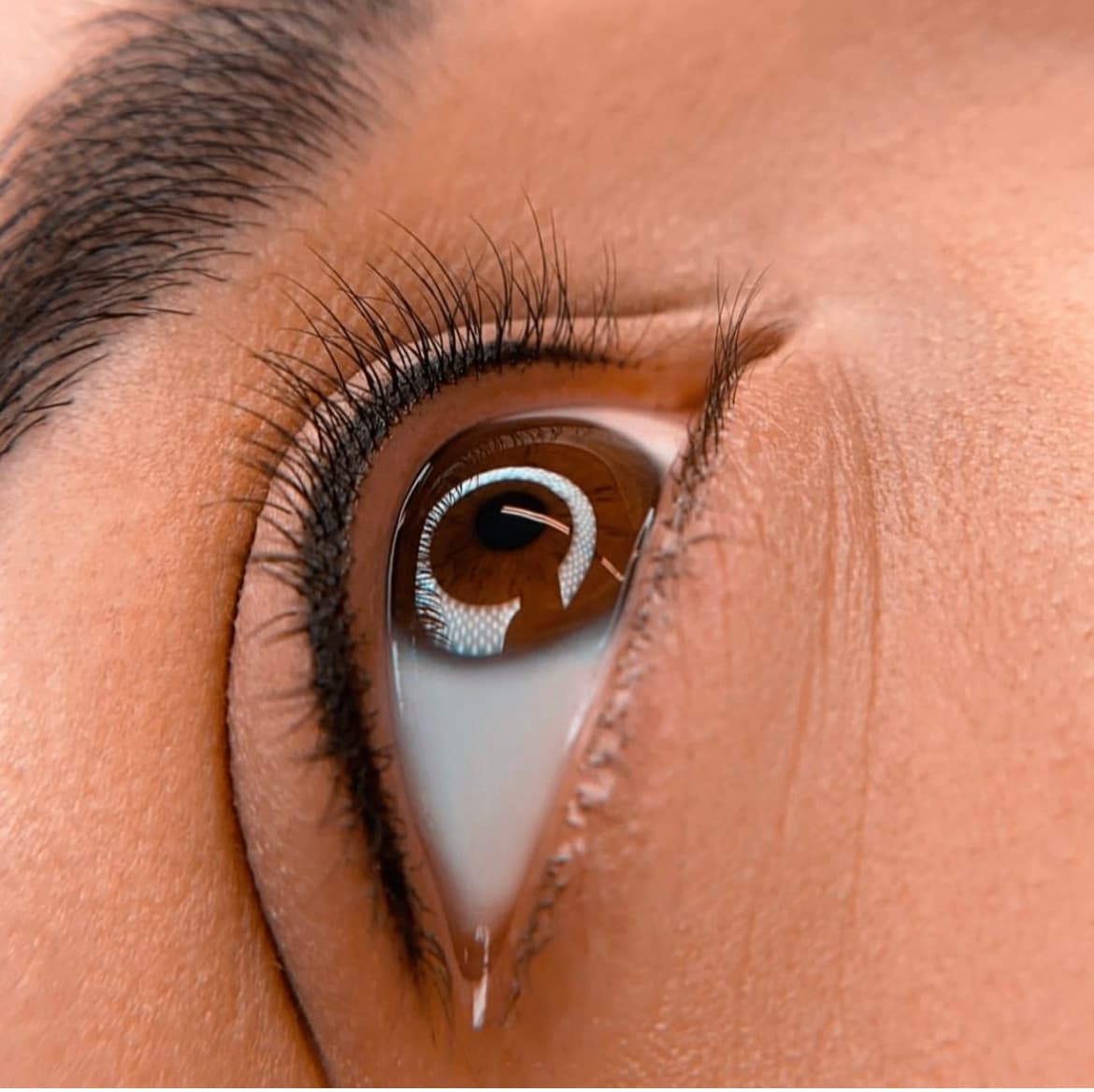 Eye Brow